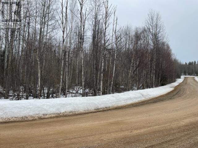 36 Whiskey Jack Crescent, Fort Nelson, British Columbia  V0C 1R0 - Photo 5 - R2739661