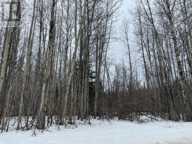 36 Whiskey Jack Crescent, Fort Nelson, British Columbia  V0C 1R0 - Photo 6 - R2739661