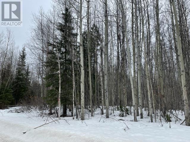 36 Whiskey Jack Crescent, Fort Nelson, British Columbia  V0C 1R0 - Photo 7 - R2739661