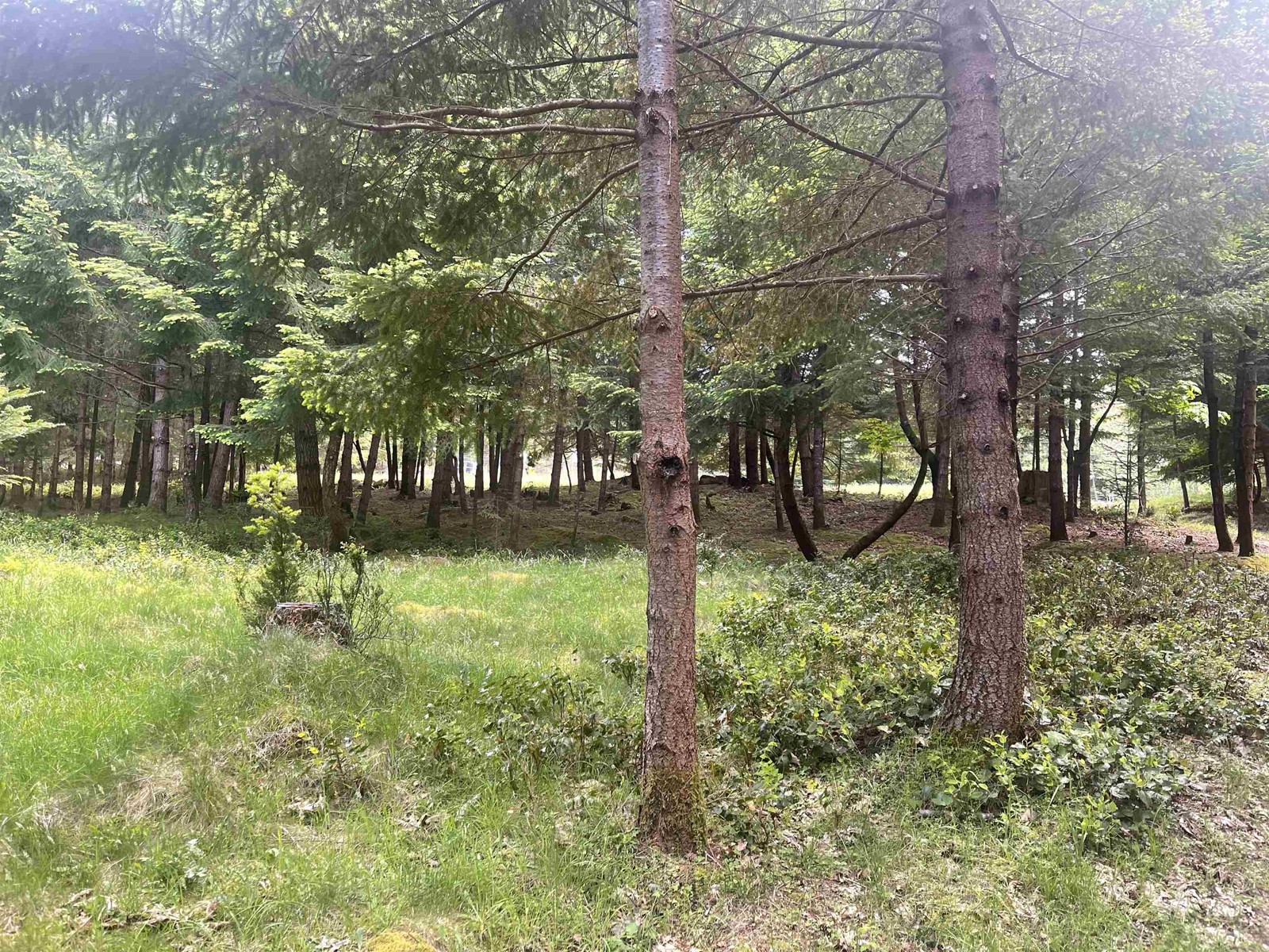 Lot B Seymour Road, Gabriola Island, British Columbia  V0R 1X6 - Photo 8 - R2781511