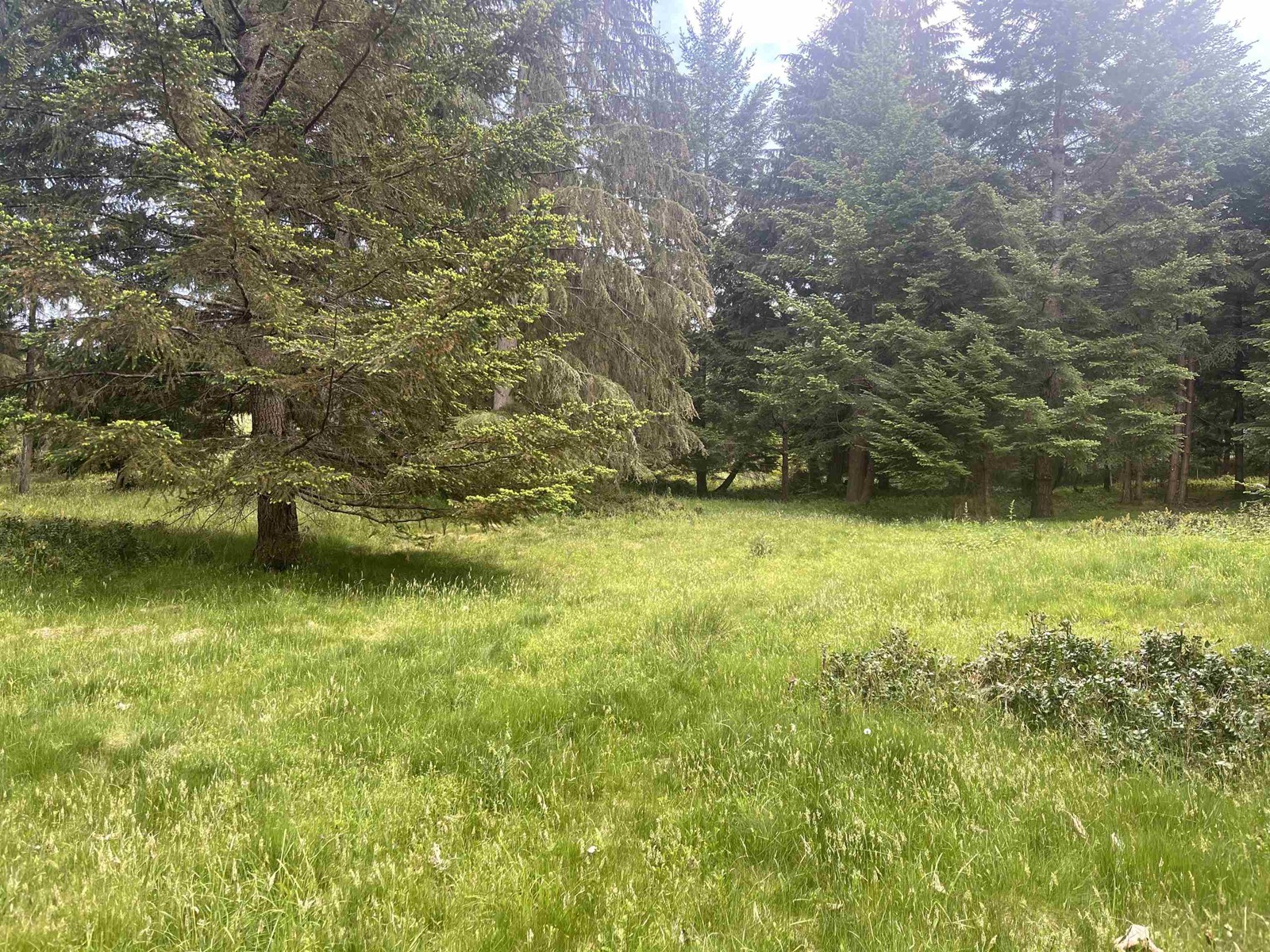 Lot B Seymour Road, Gabriola Island, British Columbia  V0R 1X6 - Photo 3 - R2781511