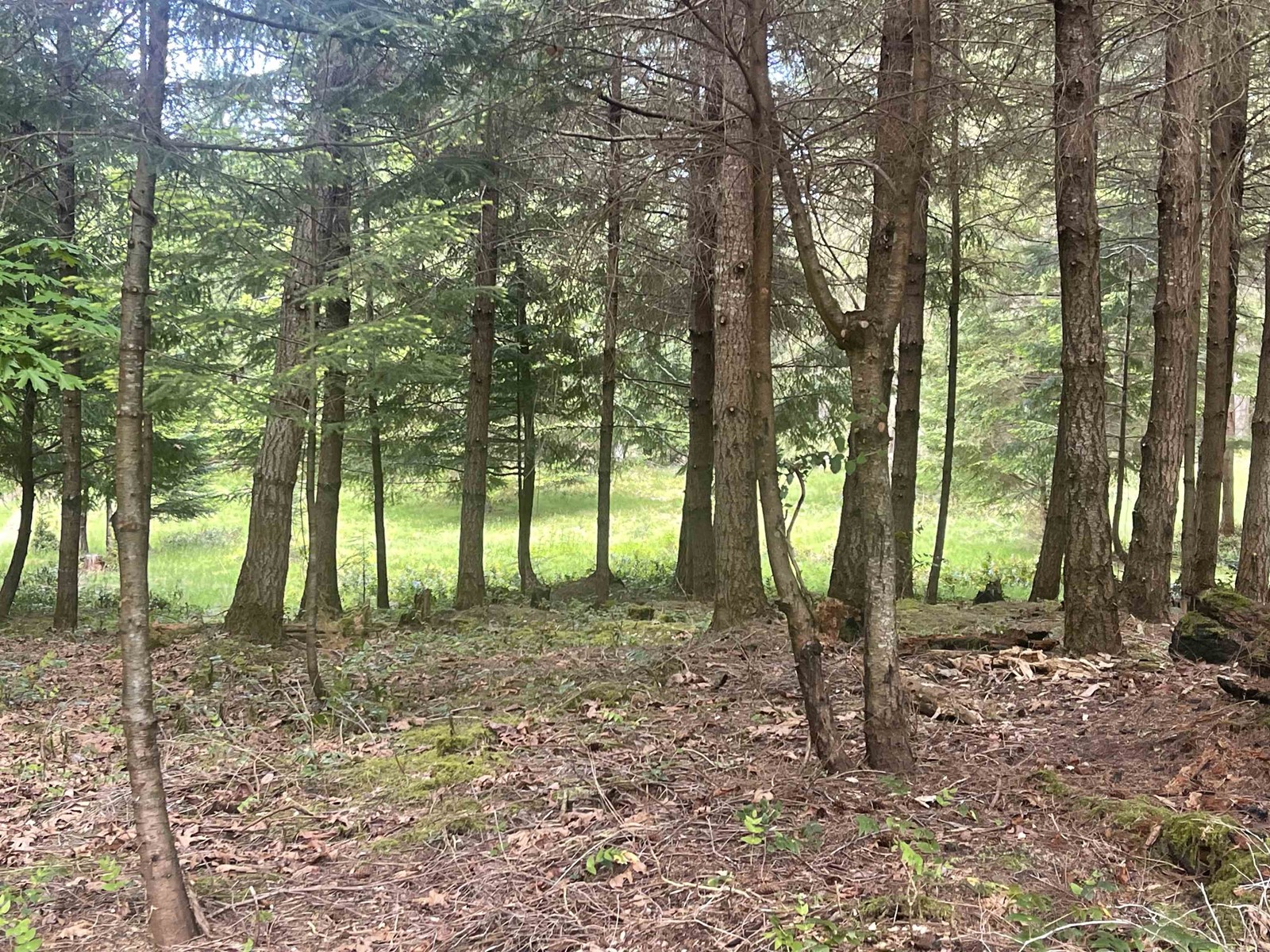 Lot B Seymour Road, Gabriola Island, British Columbia  V0R 1X6 - Photo 7 - R2781511