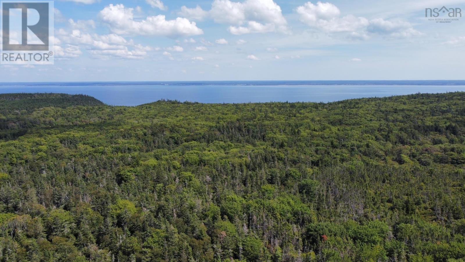Lot Highway 217, East Ferry, Nova Scotia  B0V 1E0 - Photo 3 - 202215241