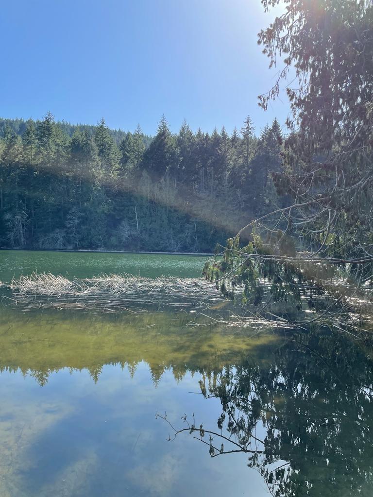 377 Langs Road, Salt Spring Island, British Columbia  V8K 1N3 - Photo 12 - R2778912