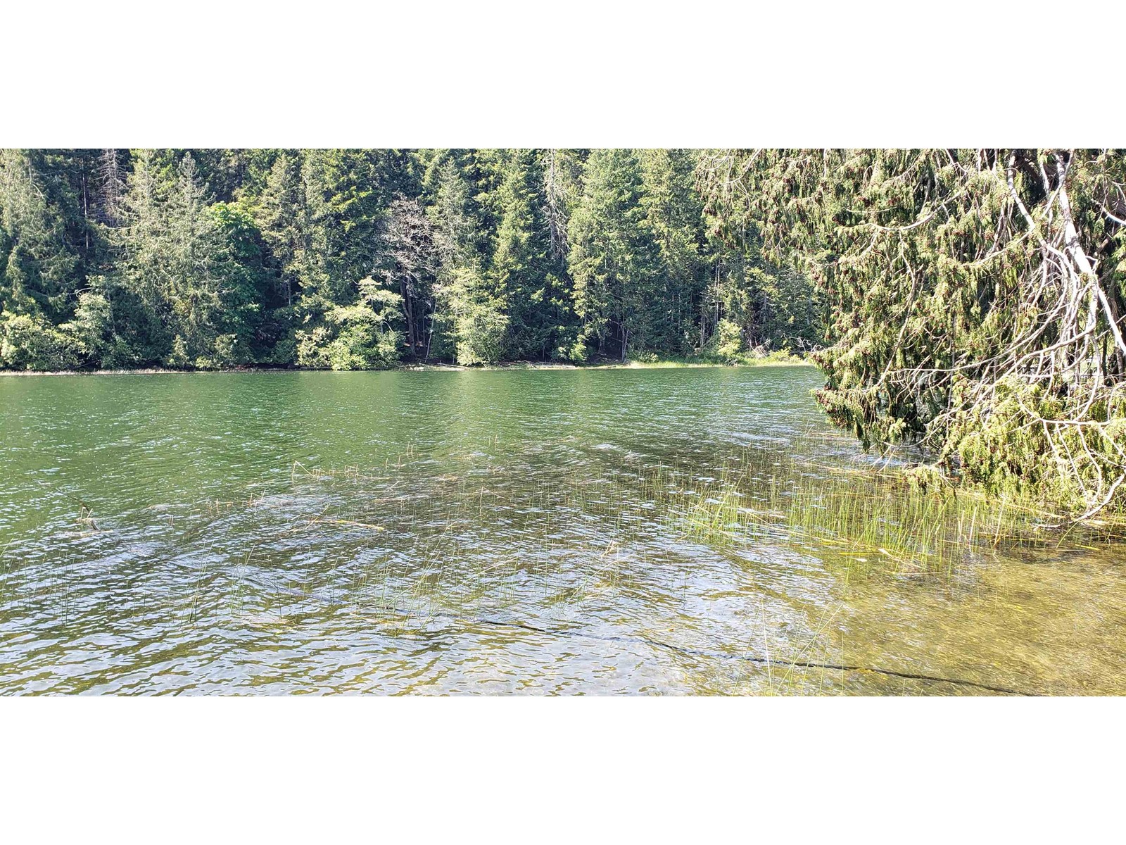 377 Langs Road, Salt Spring Island, British Columbia  V8K 1N3 - Photo 13 - R2778912