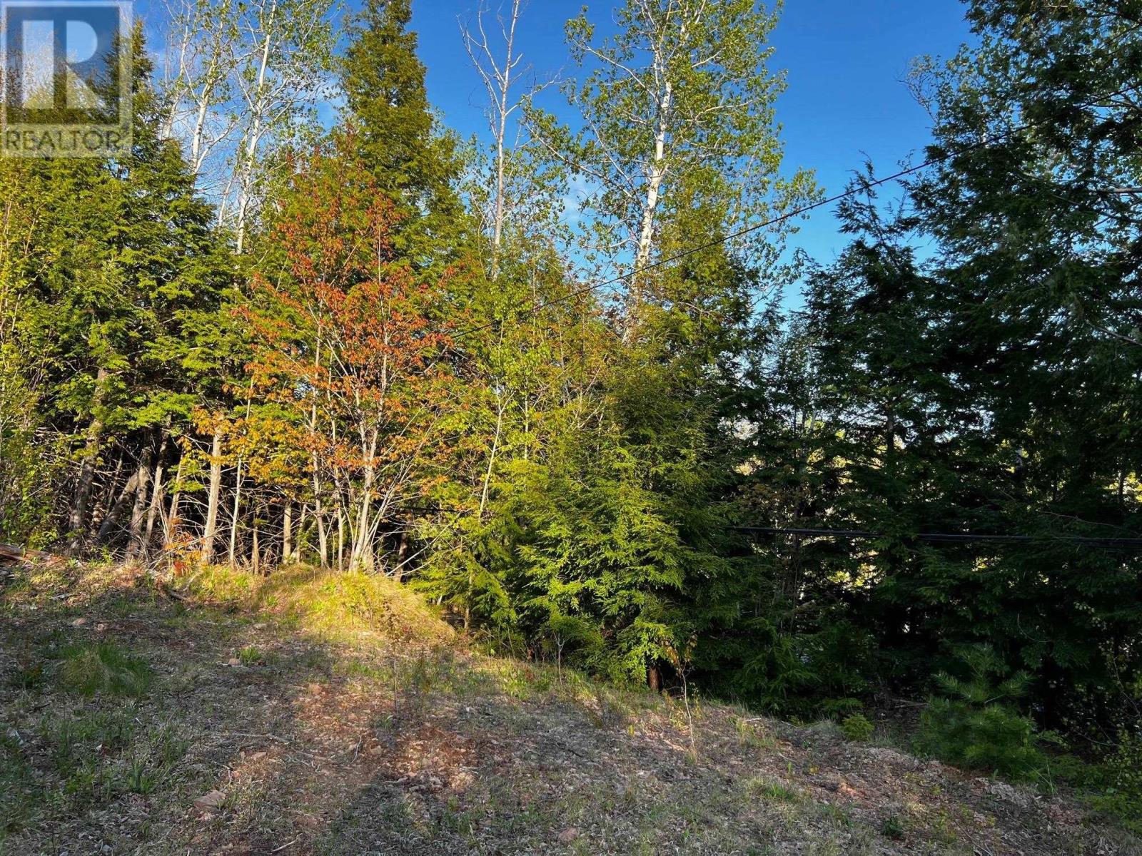 6.37 Acres Highway 4, Pine Tree, Nova Scotia  B0K 1W0 - Photo 11 - 202303532
