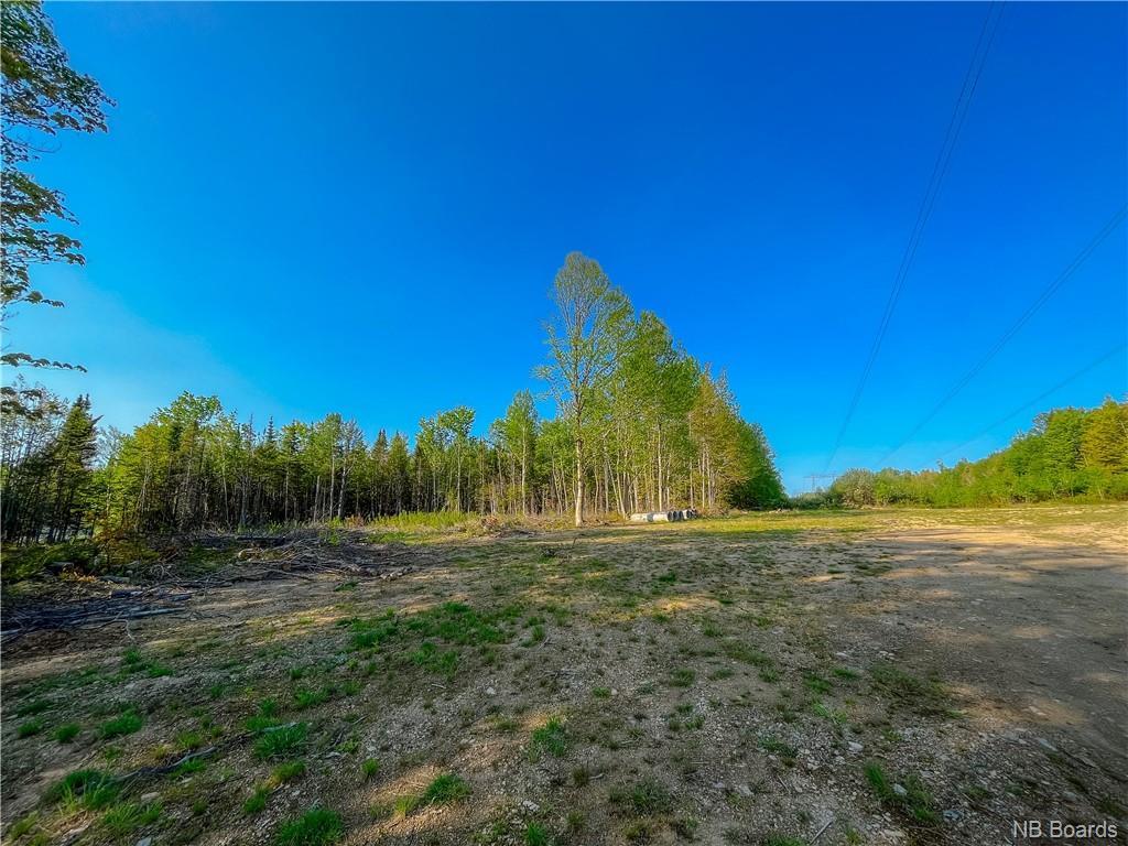 Lot Bernard Street, Dundee, New Brunswick  E8E 1W1 - Photo 3 - NB087708