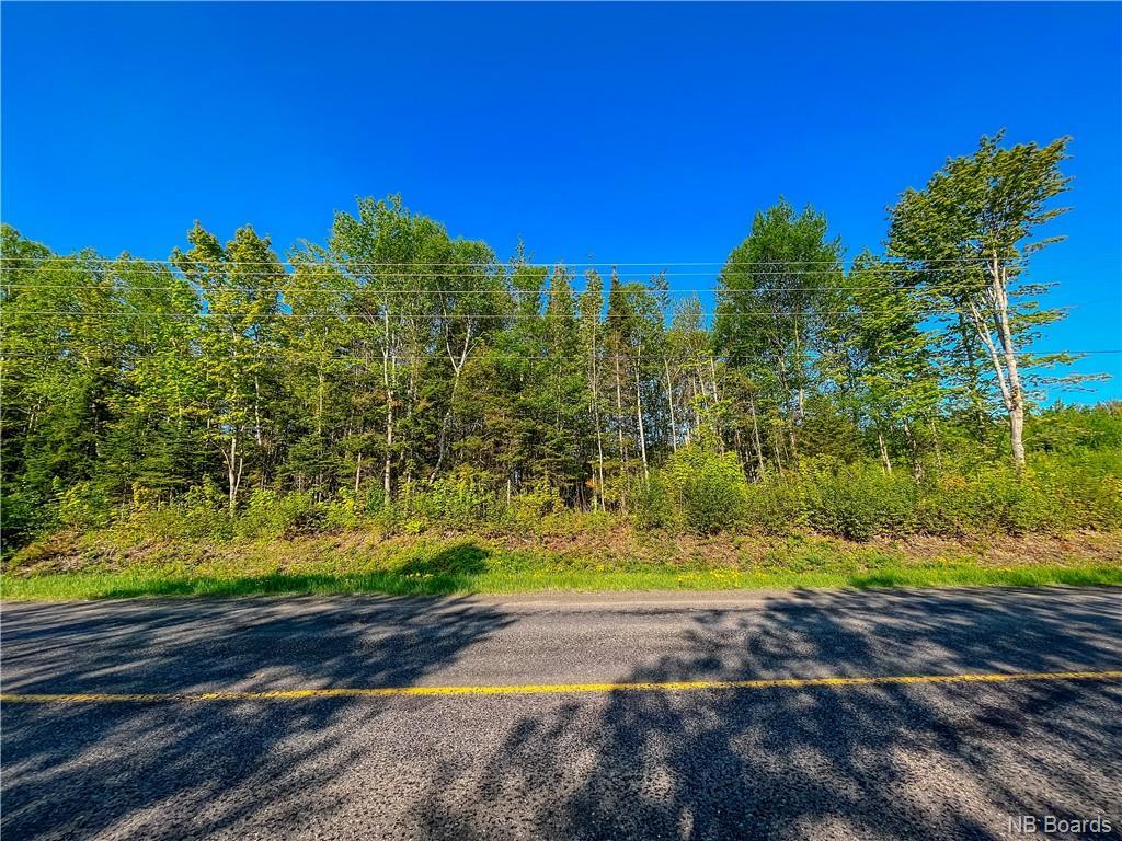 Lot Bernard Street, Dundee, New Brunswick  E8E 1W1 - Photo 5 - NB087708