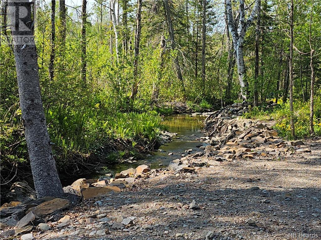 37 Guerrette Street, Sainte-Anne-De-Madawaska, New Brunswick E7E 1Y3 - Photo 44 - NB087716