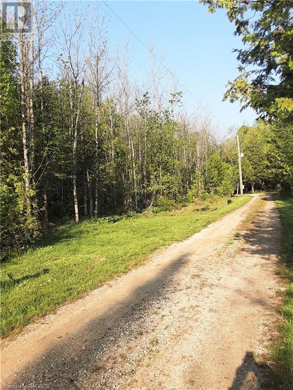 199 Private Lane, West Grey, Ontario  N4N 3B9 - Photo 6 - 40324060