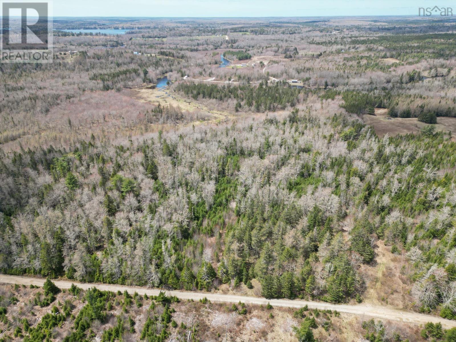 Back Road, East Kemptville, Nova Scotia  B5A 5P7 - Photo 16 - 202310497