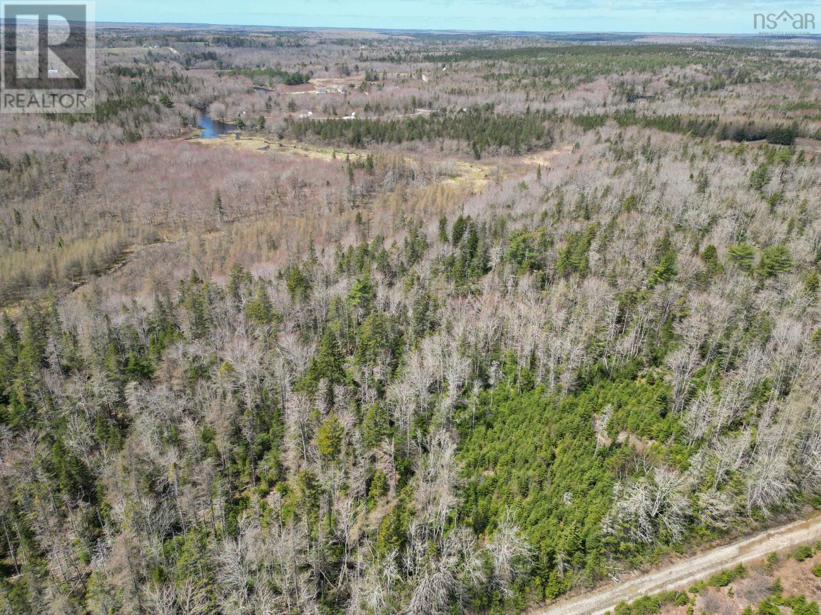 Back Road, East Kemptville, Nova Scotia  B5A 5P7 - Photo 21 - 202310497