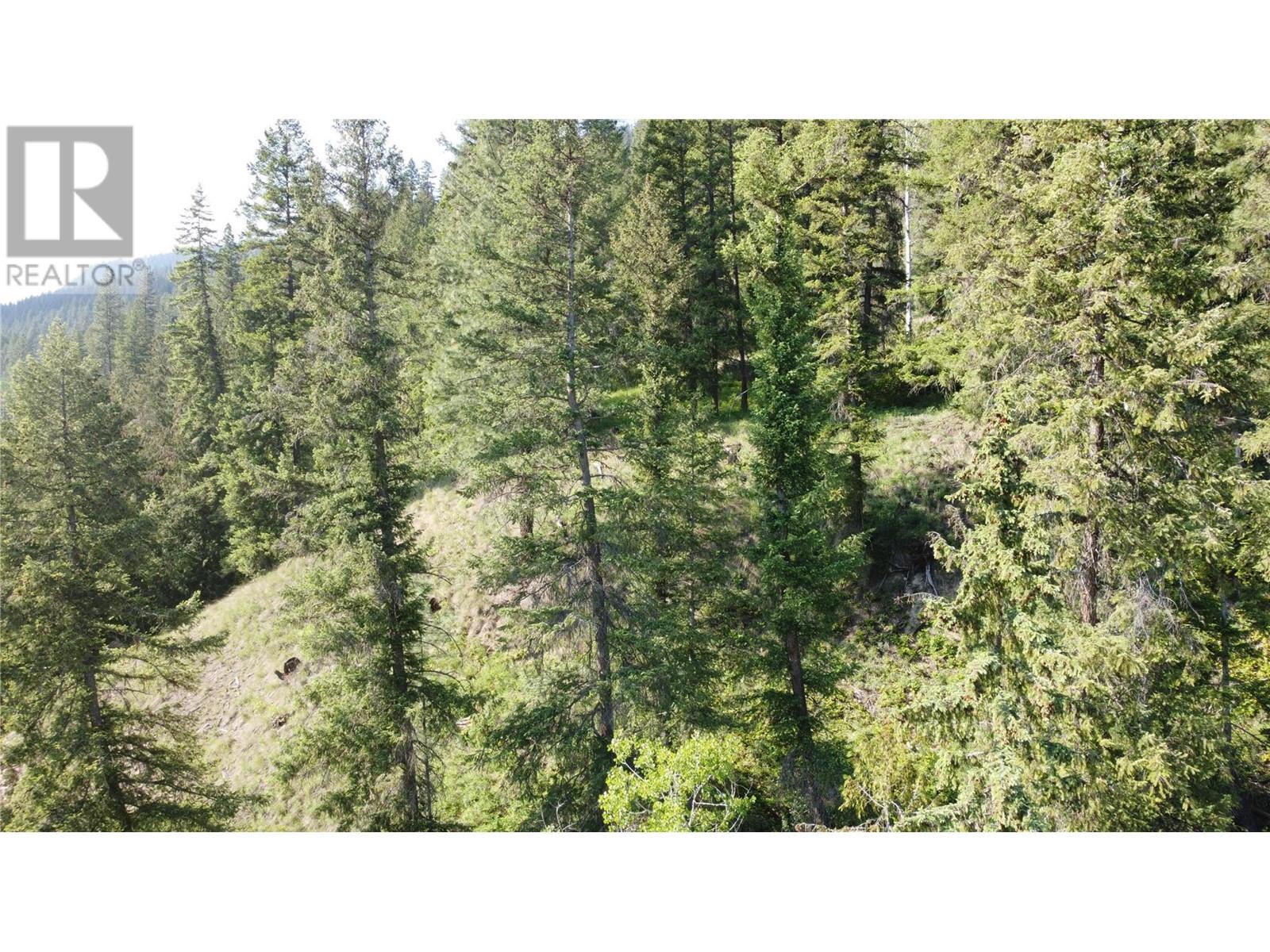 40 Acres Shuswap River Drive, Lumby, British Columbia  V0E 2G6 - Photo 21 - 10268876