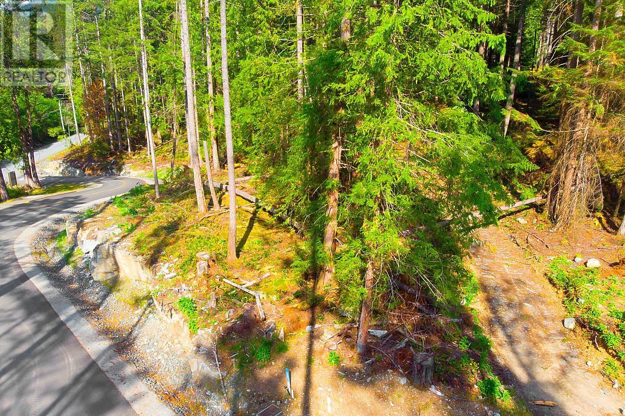 Lot 1 Hayes Road, Bowen Island, British Columbia  V0N 1G2 - Photo 8 - R2784401