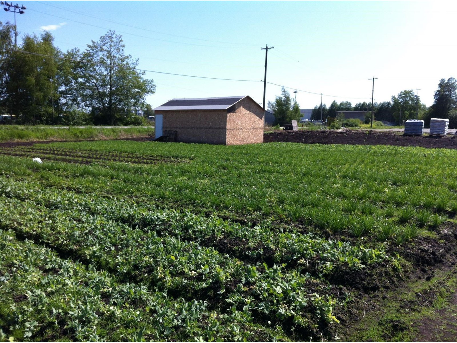 14951 Triangle Road, Richmond, British Columbia  V6W 1B2 - Photo 3 - R2784054