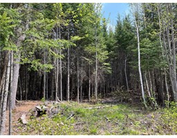 Camp Lot 11-5 South Renous Road