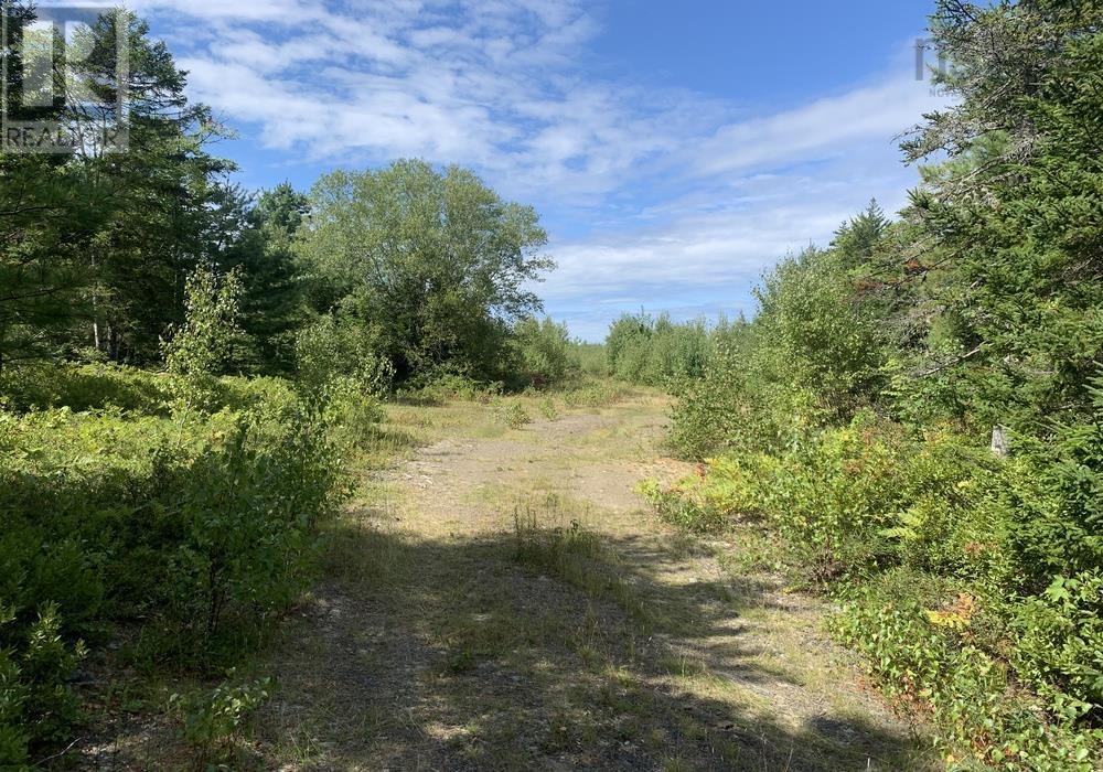Lot Haines 2 Road, Pid#60327517, Midville Branch, Nova Scotia  B4V 4T2 - Photo 6 - 202221123