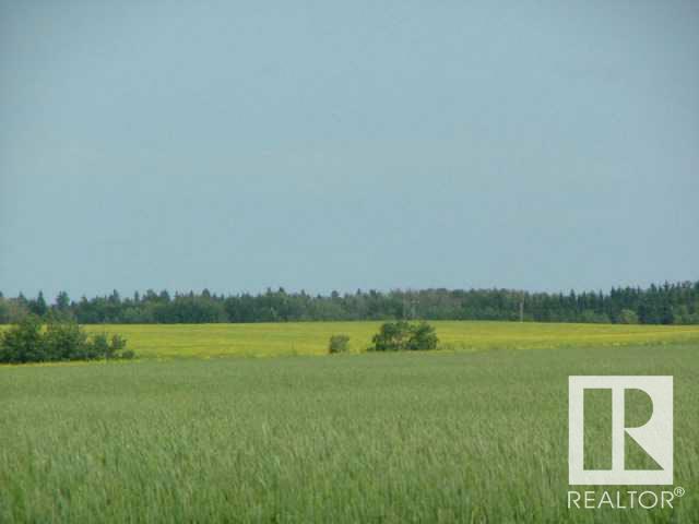 A51069 Hwy 814, Beaumont, Alberta  T4X 0K4 - Photo 11 - E4221968