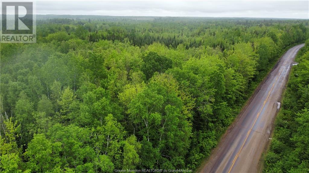 Lot 1 Shediac River Rd, Saint-Philippe, New Brunswick  E1H 1R8 - Photo 6 - M153247