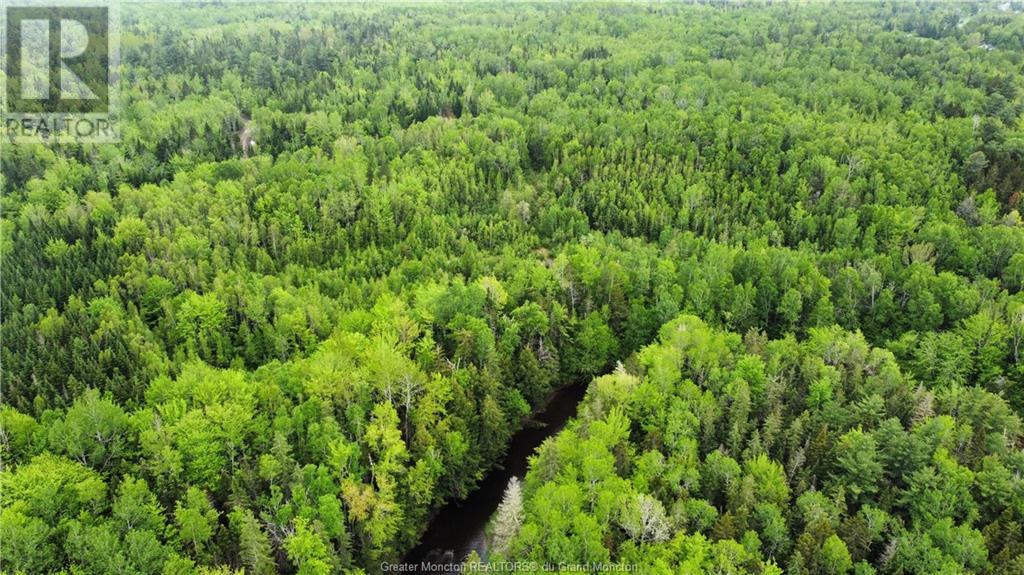 Lot 1 Shediac River Rd, Saint-Philippe, New Brunswick  E1H 1R8 - Photo 3 - M153247