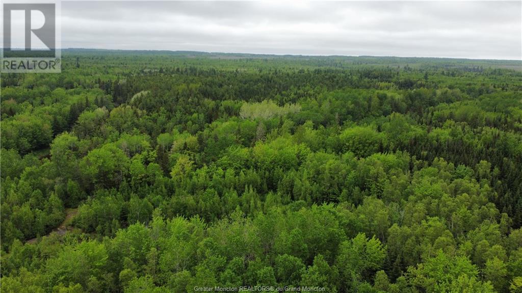 Lot 1 Shediac River Rd, Saint-Philippe, New Brunswick  E1H 1R8 - Photo 10 - M153247