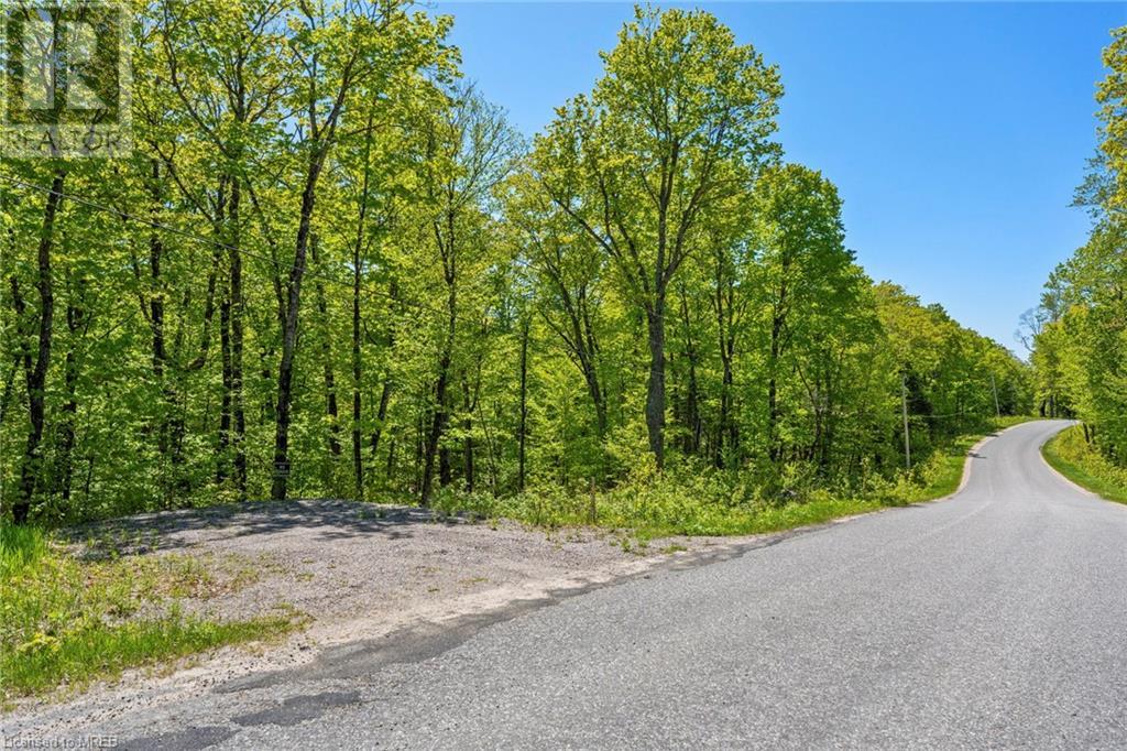 . Ahmic Lake Road, Magnetawan, Ontario    - Photo 20 - 40428604