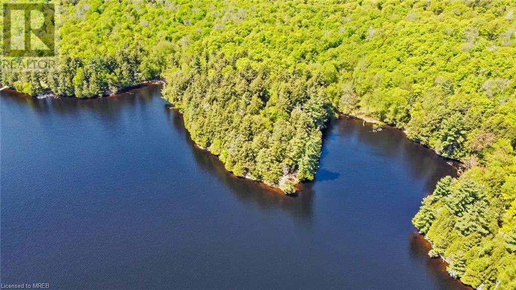 . Ahmic Lake Road, Magnetawan, Ontario    - Photo 7 - 40428604