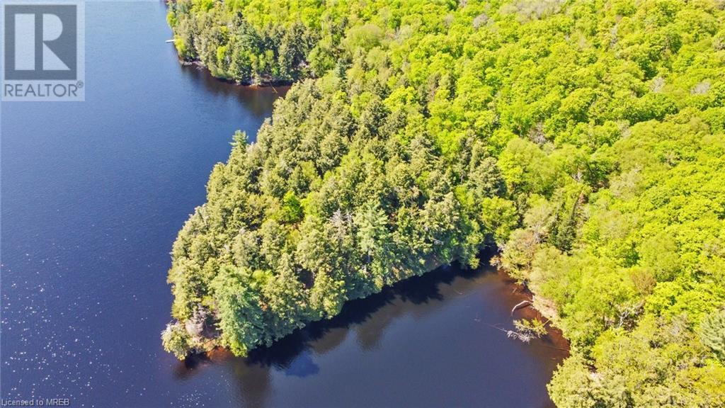 . Ahmic Lake Road, Magnetawan, Ontario    - Photo 8 - 40428604