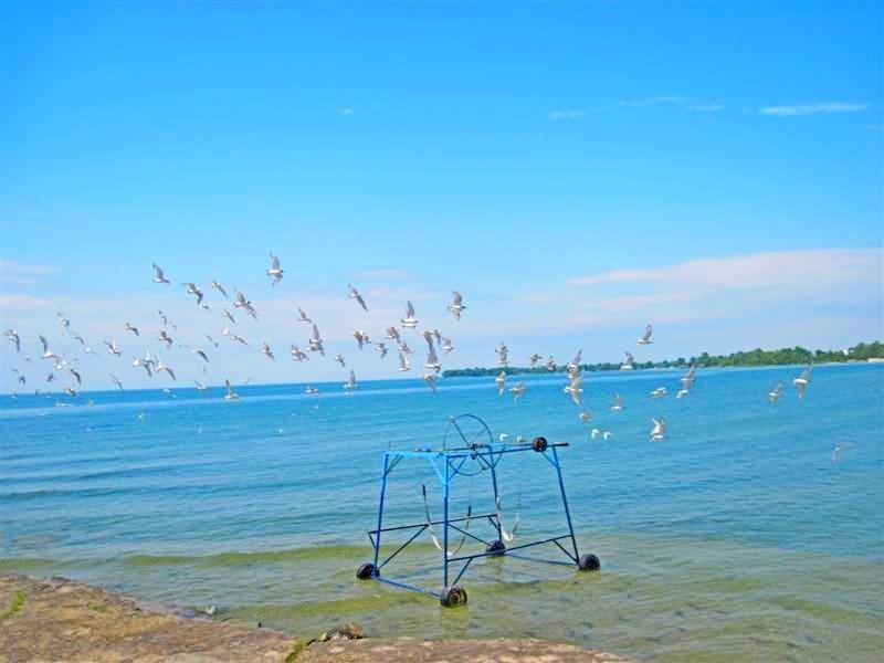 1475 Lakeshore Road, Selkirk, Ontario  N0A 1P0 - Photo 34 - H4166001