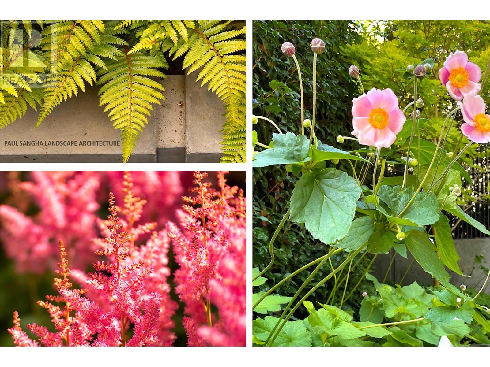 5038 Arbutus Street, Vancouver, British Columbia  V6M 3W2 - Photo 33 - R2786411