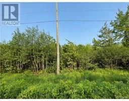 -- WELDFIELD-COLLETTE Road