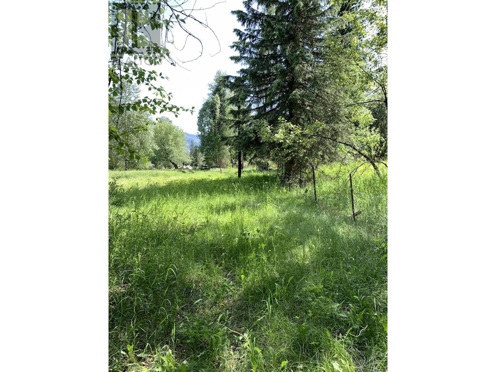 6381 Avola Village Road, Blue River, British Columbia  V0E 1C0 - Photo 2 - 173336