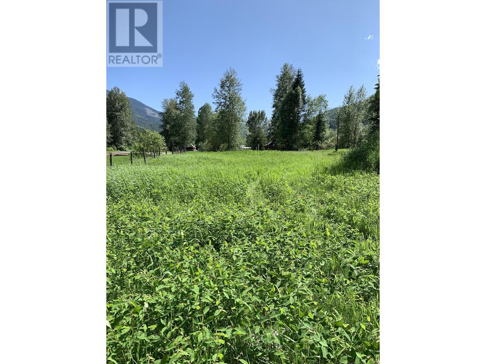 6381 Avola Village Road, Blue River, British Columbia  V0E 1C0 - Photo 4 - 173336