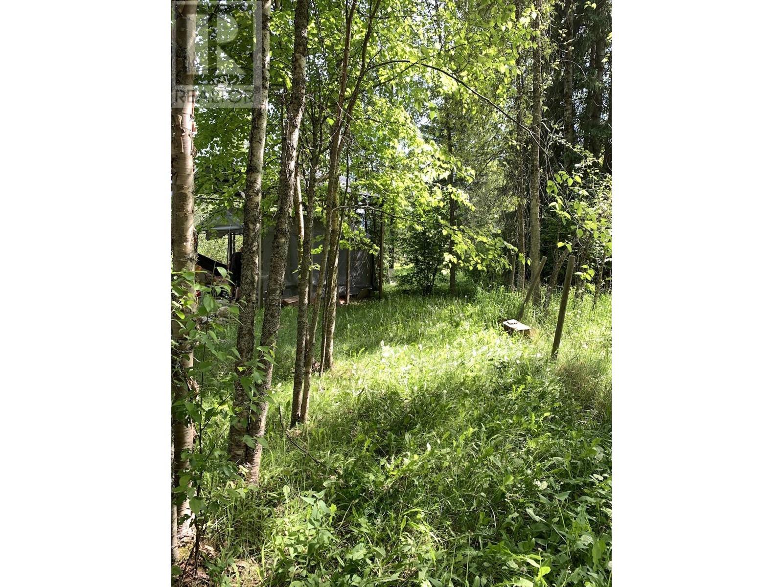 6381 Avola Village Road, Blue River, British Columbia  V0E 1C0 - Photo 5 - 173336