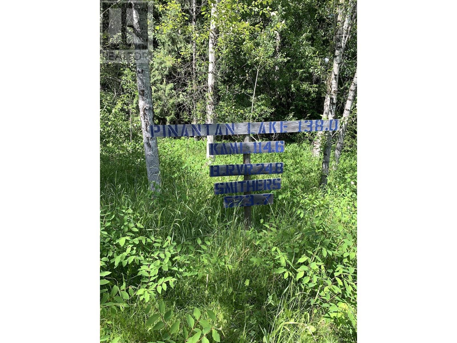 6381 Avola Village Road, Blue River, British Columbia  V0E 1C0 - Photo 7 - 173336