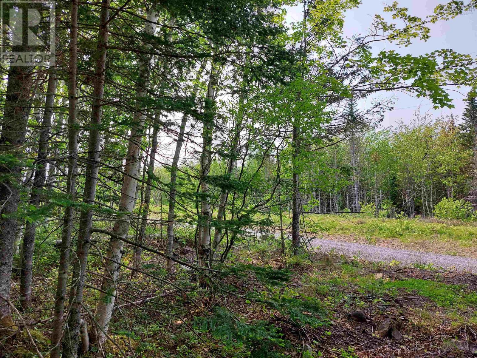 Lot 25 Beaver Lane, Grantville, Nova Scotia  B0E 1J0 - Photo 9 - 202304239