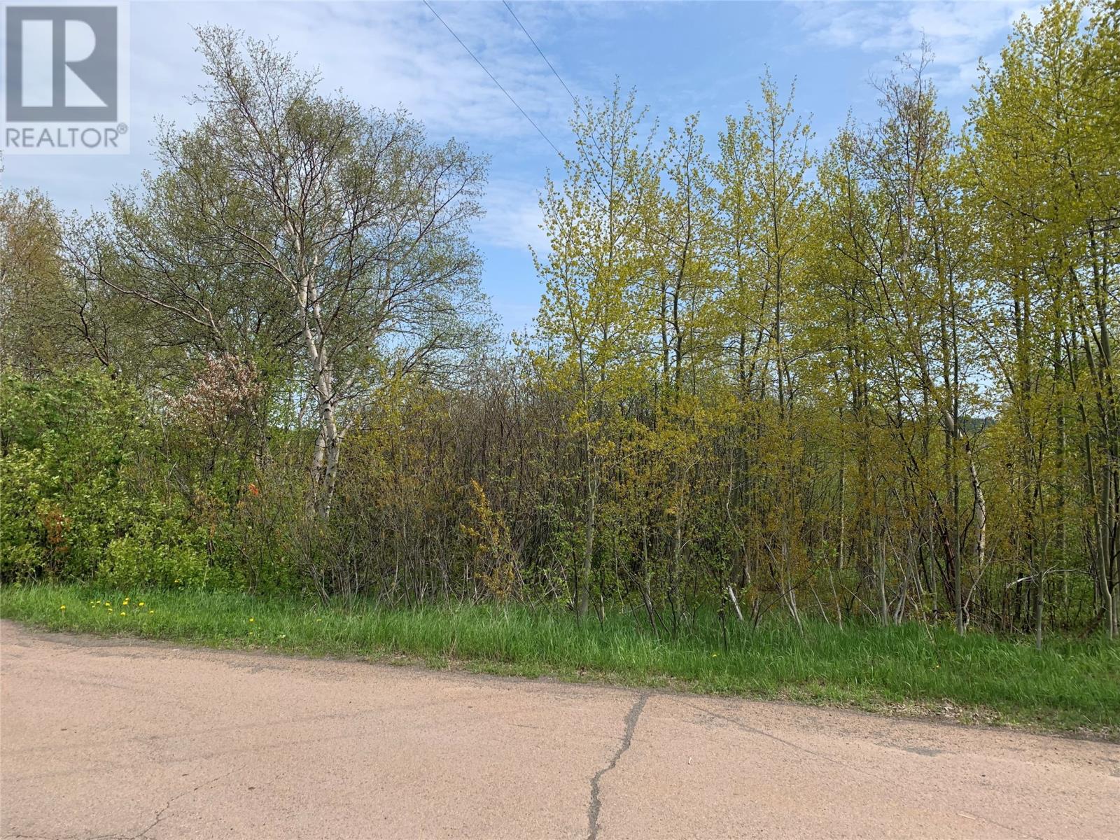 2 Pond Road, Embree, Newfoundland & Labrador  A0G 2A0 - Photo 4 - 1259346