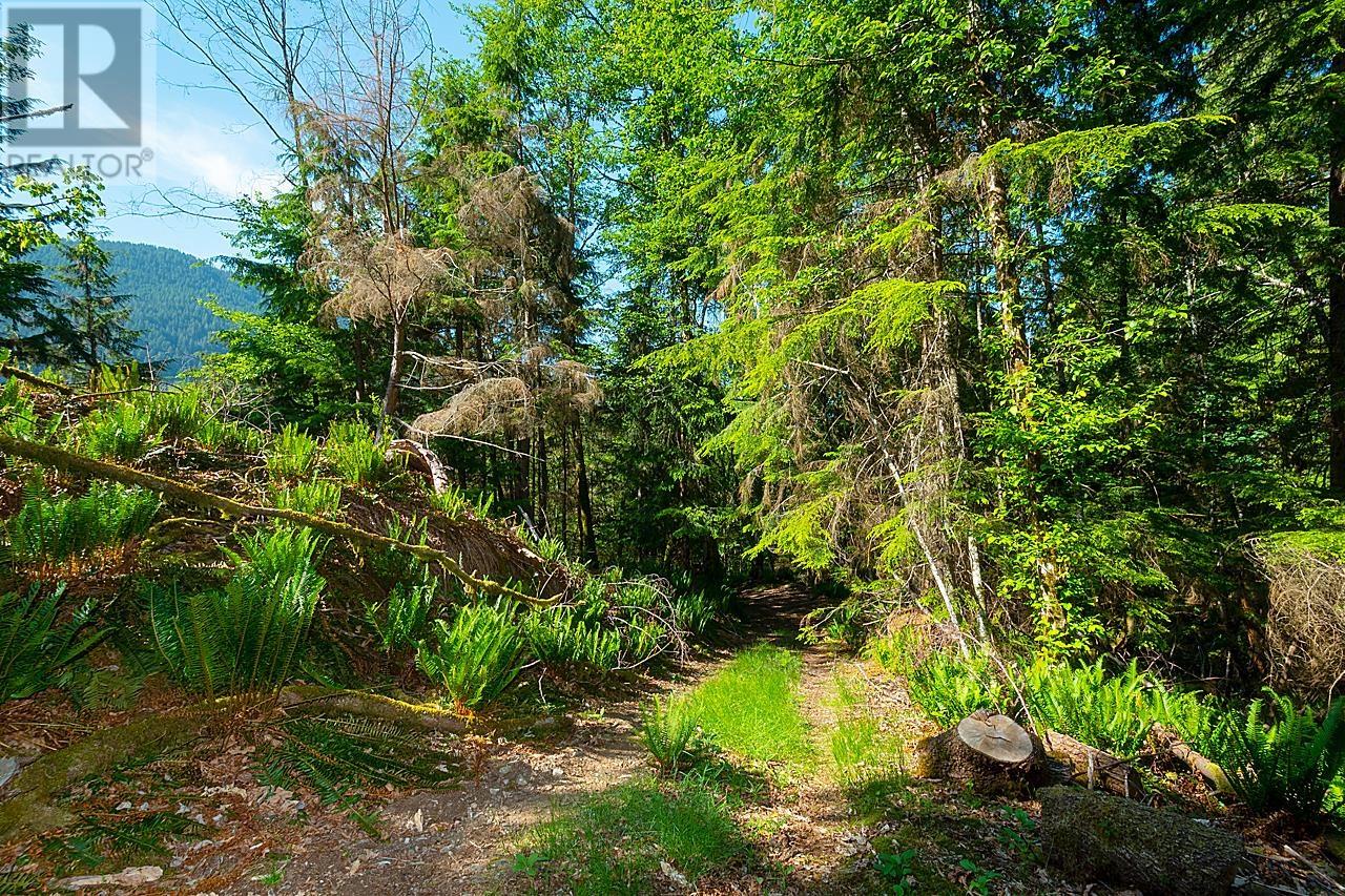 985 Grafton Road, Bowen Island, British Columbia  V0N 1G2 - Photo 10 - R2787614