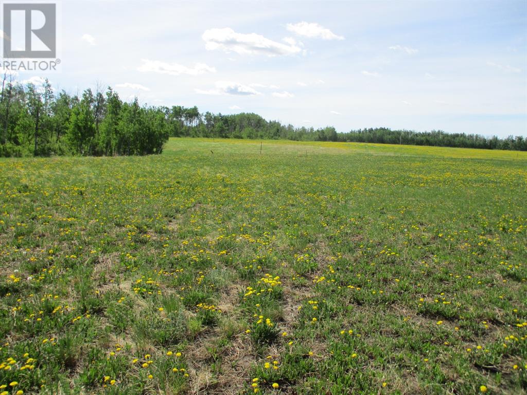 15231004 Twp Rd 920, County Of, Alberta  T0H 2M0 - Photo 7 - A1115652