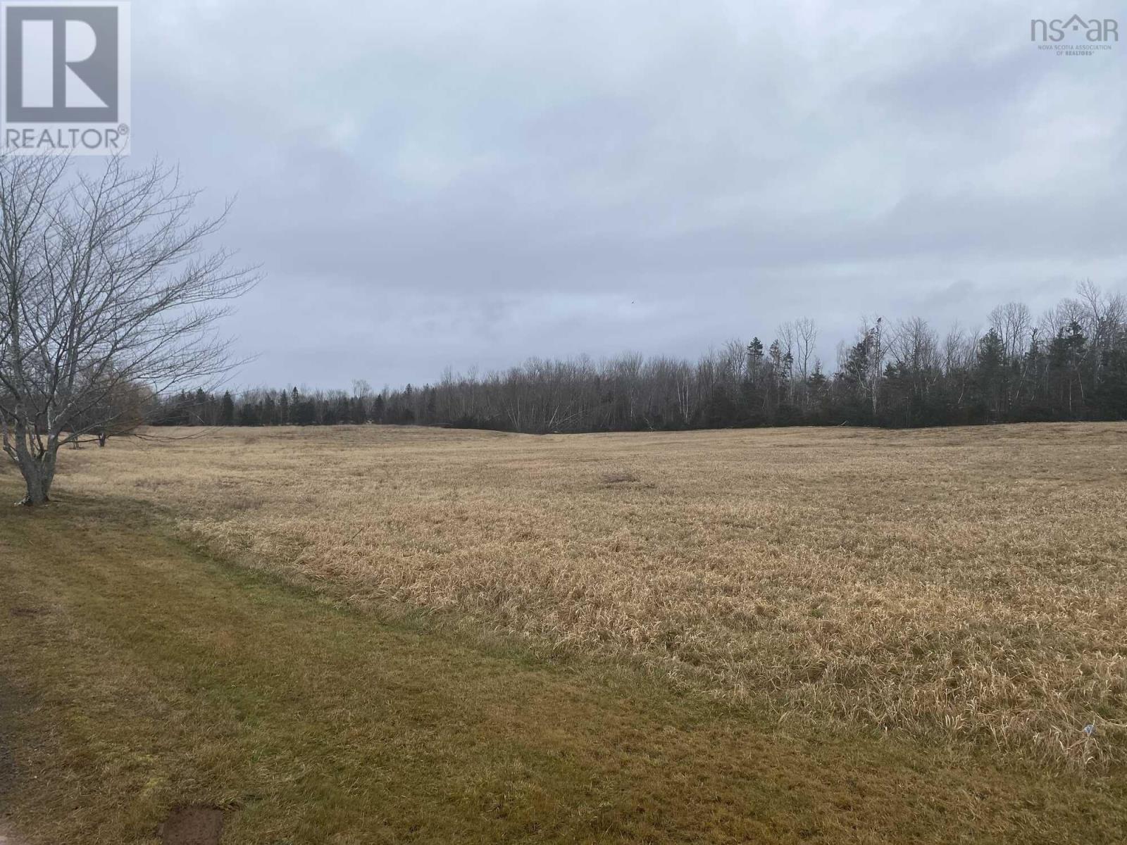 Lot 2 Highway 6, Three Brooks, Nova Scotia  B0K 1H0 - Photo 3 - 202307928