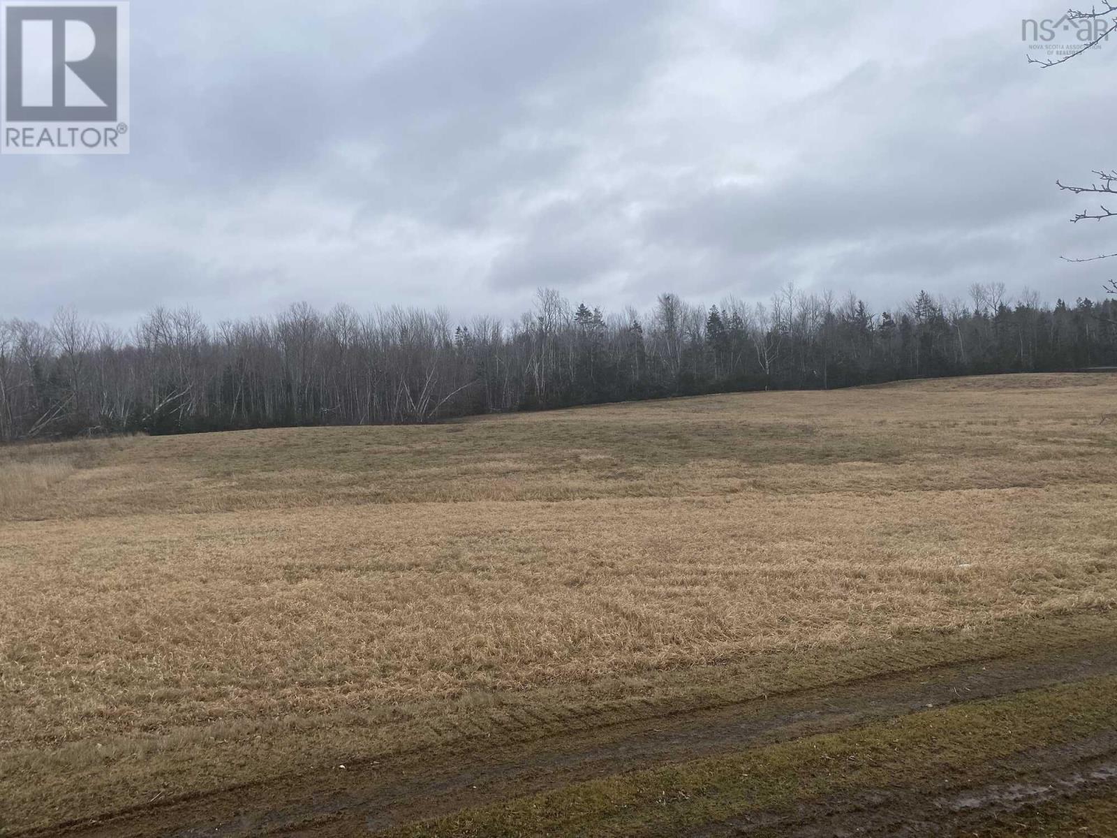 Lot 2 Highway 6, Three Brooks, Nova Scotia  B0K 1H0 - Photo 6 - 202307928