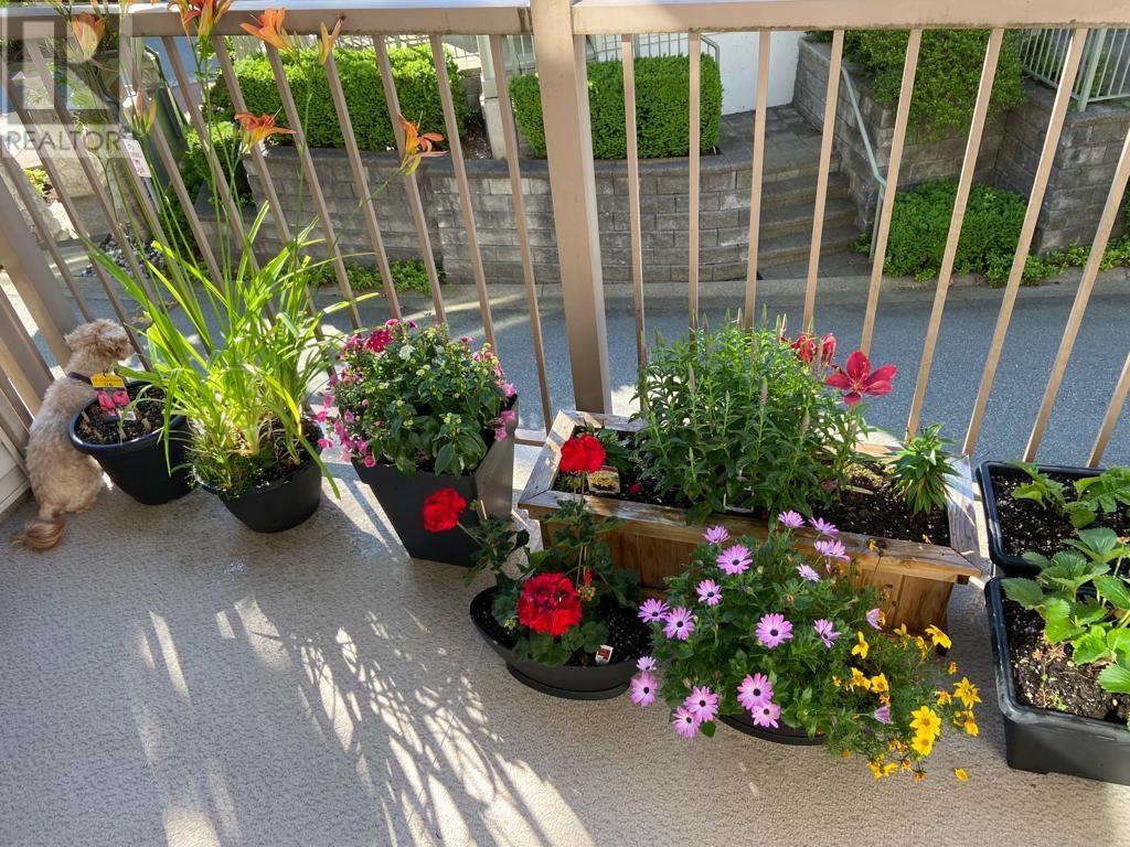 18 2351 Parkway Boulevard, Coquitlam, British Columbia  V3E 3P2 - Photo 17 - R2774169