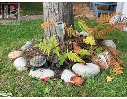 46 TEMAGAMI Trail