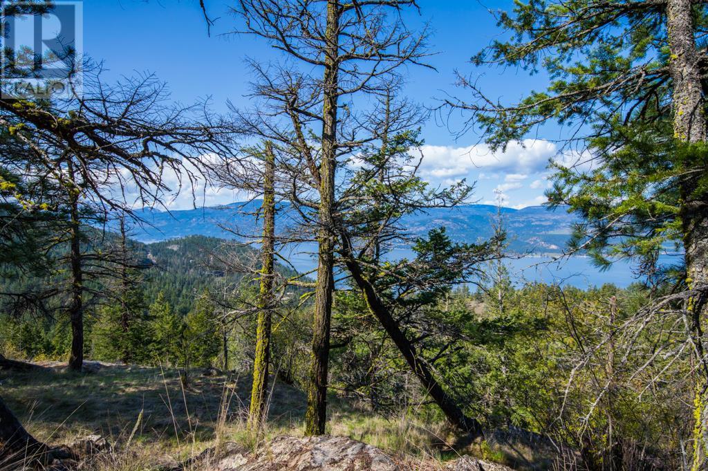 0000 Eastside Road, Vernon, British Columbia  V1H 1K8 - Photo 24 - 10276774