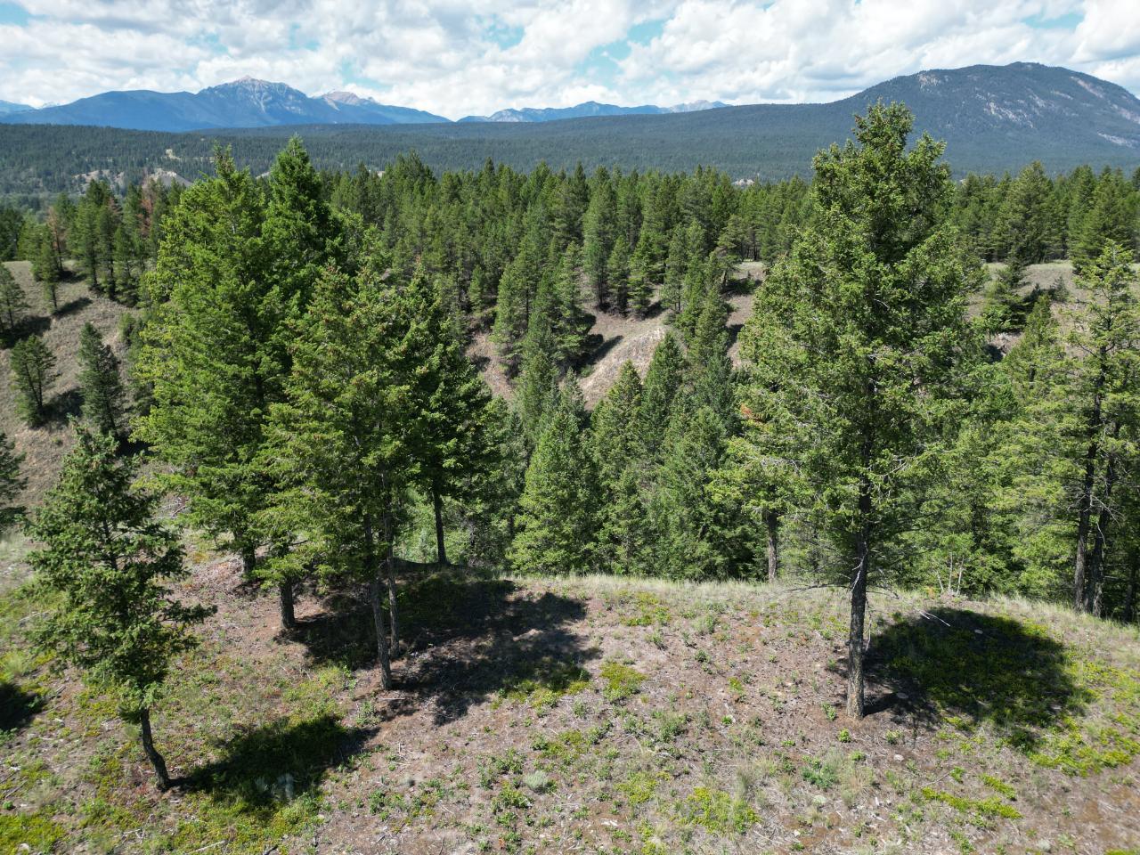 Sl 18 Saddlewood Lane, Radium Hot Springs, British Columbia  V0A 1M0 - Photo 21 - 2471563