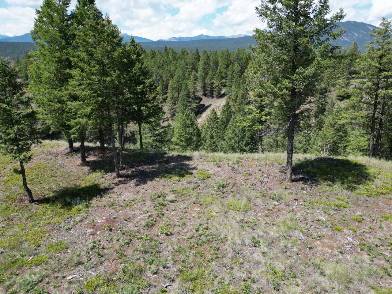 Sl 18 Saddlewood Lane, Radium Hot Springs, British Columbia  V0A 1M0 - Photo 24 - 2471563