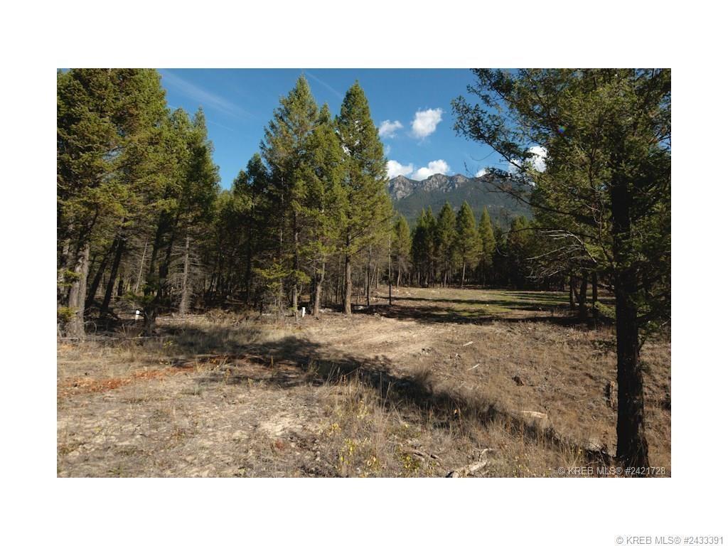 Sl 18 Saddlewood Lane, Radium Hot Springs, British Columbia  V0A 1M0 - Photo 3 - 2471563