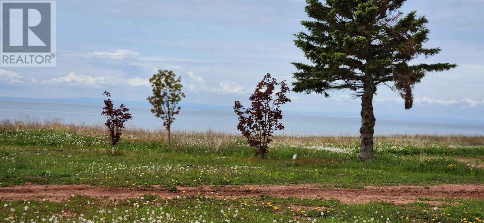 132 Macleod Road, Wood Islands, Prince Edward Island  C0A 1B0 - Photo 35 - 202311408