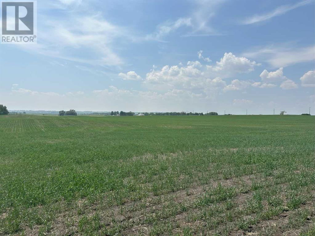 37.497 Ac Along 1064 Dr E 1064 Drive E, Rural Foothills County, Alberta  T1S 1A4 - Photo 20 - A2057510