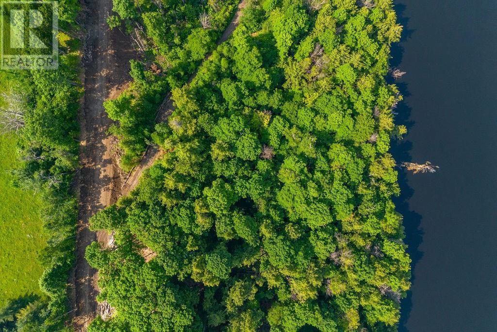 03 Lower Spruce Hedge Road, Burnstown, Ontario  K0J 1G0 - Photo 10 - 1347947